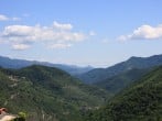 The view The view
